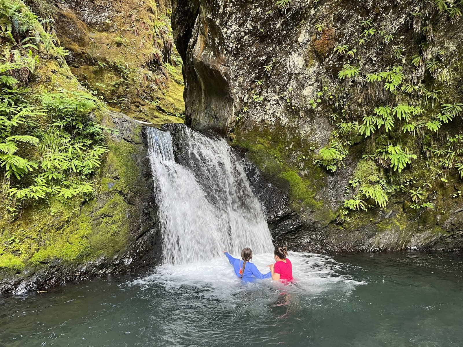 Avid4 Adventure